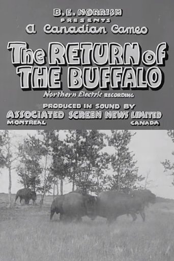 Return of the Buffalo Poster of Return of the Buffalo