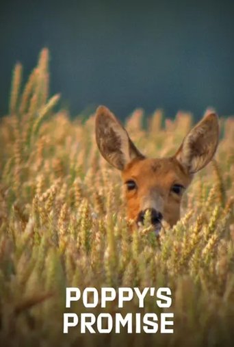 Poppy's Promise: Secret Life in a Cornfield Poster of Poppy's Promise: Secret Life in a Cornfield