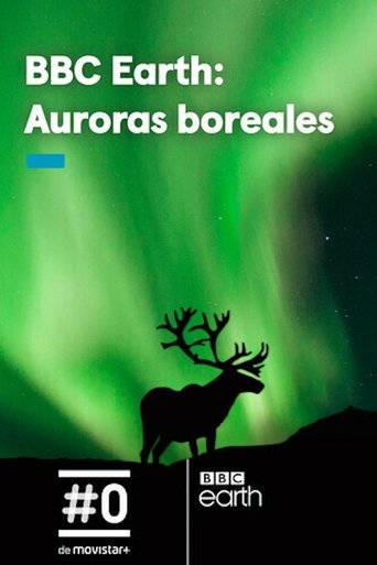 Gordon's Northern Lights Adventure Poster of Gordon's Northern Lights Adventure