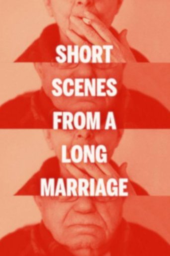 Short Scenes from a Long Marriage Poster of Short Scenes from a Long Marriage