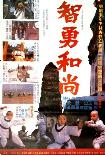 The Little Shaolin Monk Poster of The Little Shaolin Monk