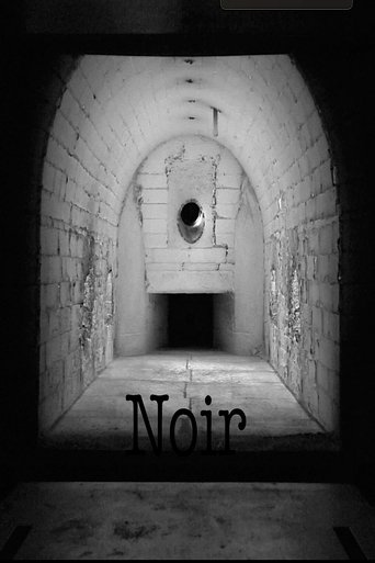 Noir Poster of Noir