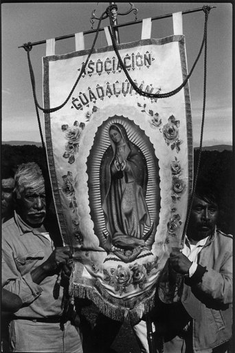 A Long Journey to Guadalupe Poster of A Long Journey to Guadalupe