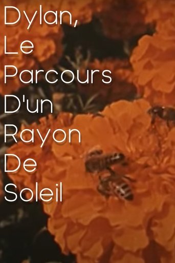 Dylan, le parcours d'un rayon de soleil Poster of Dylan, le parcours d'un rayon de soleil