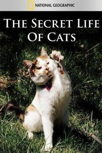 The Secret Life of Cats Poster of The Secret Life of Cats