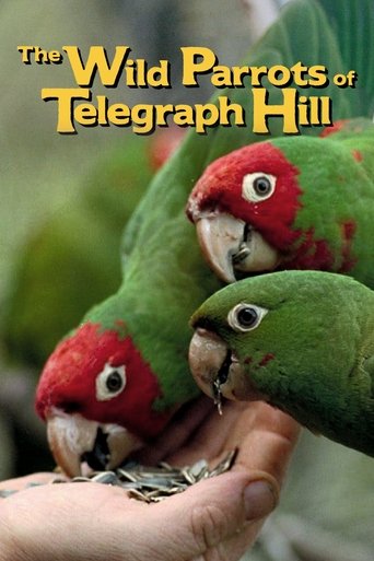 The Wild Parrots of Telegraph Hill Poster of The Wild Parrots of Telegraph Hill