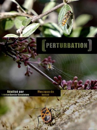 Perturbation Poster of Perturbation