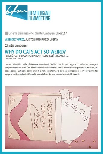 Why Do Cats Act So Weird? Poster of Why Do Cats Act So Weird?
