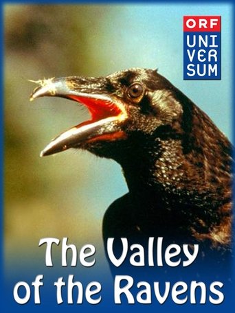 Valley of the Ravens Poster of Valley of the Ravens
