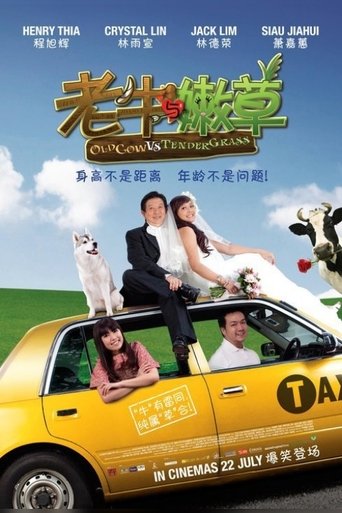Old Cow Vs Tender Grass Poster of Old Cow Vs Tender Grass