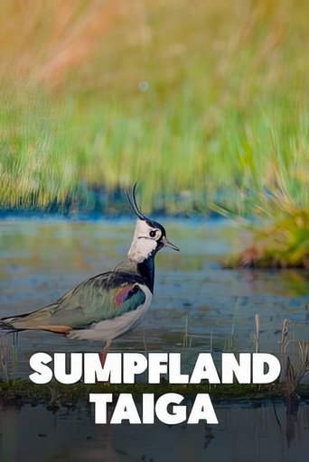 Sumpfland Taiga - Das Berezinsky-Biosphärenreservat Poster of Sumpfland Taiga - Das Berezinsky-Biosphärenreservat