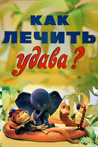 How to cure Boa? Poster of How to cure Boa?