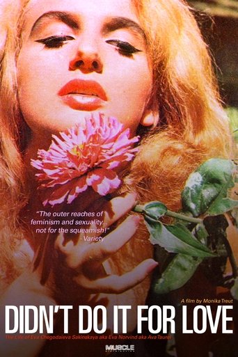Didn't Do It For Love Poster of Didn't Do It For Love