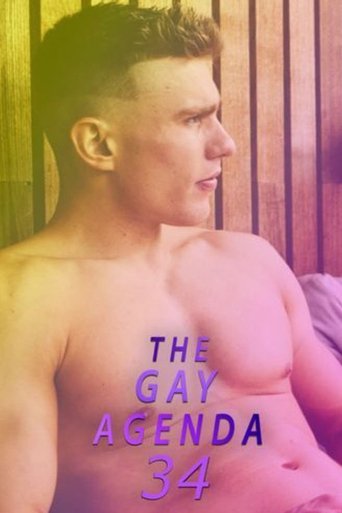 The Gay Agenda 34 Poster of The Gay Agenda 34
