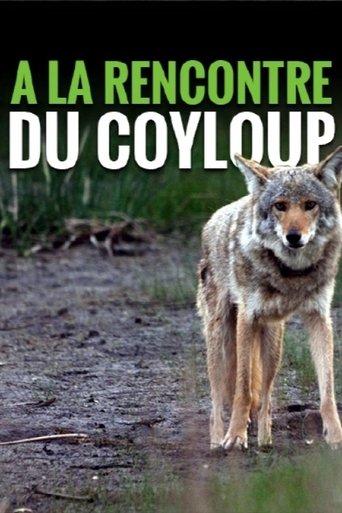 A la rencontre du coyloup Poster of A la rencontre du coyloup