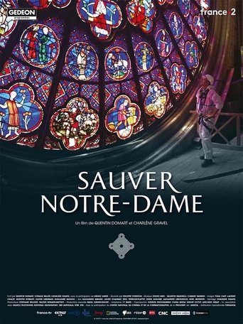 Sauver Notre-Dame Poster of Sauver Notre-Dame