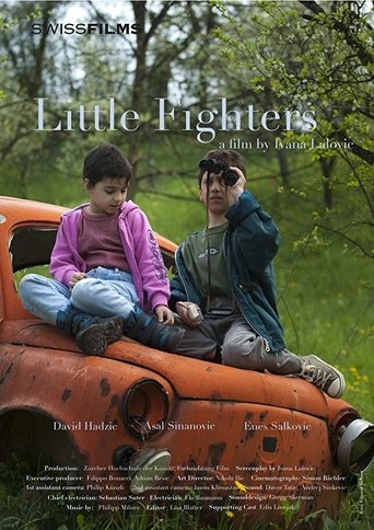 Little Fighters Poster of Little Fighters