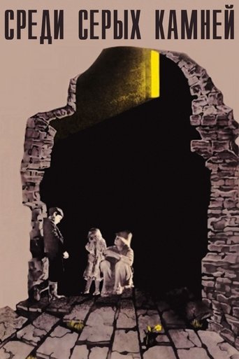 Among Grey Stones Poster of Among Grey Stones