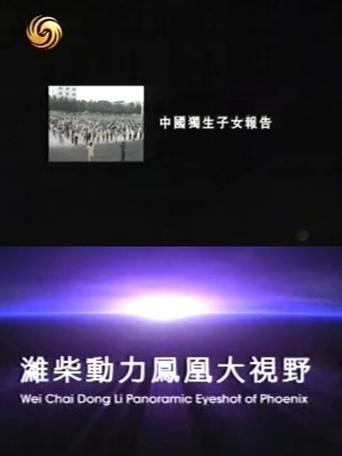 凤凰大视野:中国独生子女报告 Poster of 凤凰大视野:中国独生子女报告