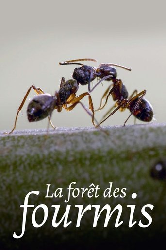 La Forêt des fourmis Poster of La Forêt des fourmis