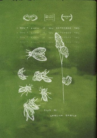 I Don't Know If You Remember This Poster of I Don't Know If You Remember This