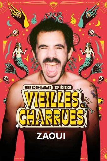Zaoui en concert aux Vieilles Charrues 2024 Poster of Zaoui en concert aux Vieilles Charrues 2024