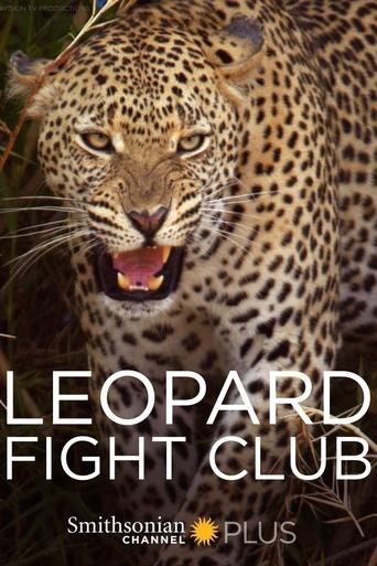 Leopard Fight Club Poster of Leopard Fight Club