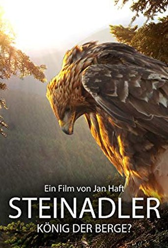 Steinadler - König der Berge Poster of Steinadler - König der Berge