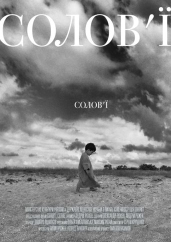 Nightingales, Nightingales Poster of Nightingales, Nightingales