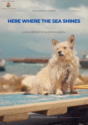 Here where the sea shines Poster of Here where the sea shines