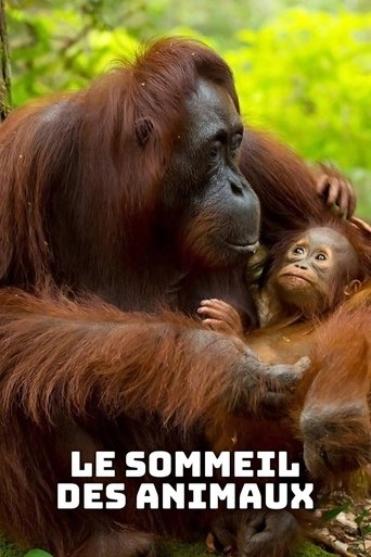 Le sommeil des animaux Poster of Le sommeil des animaux