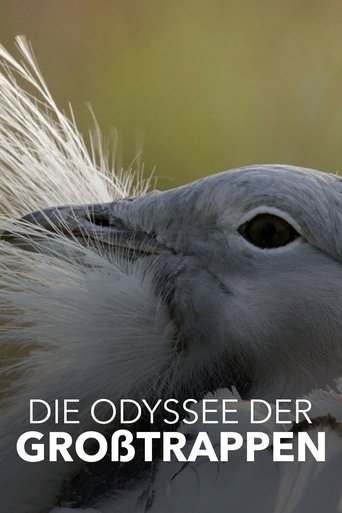 Die Odyssee der Großtrappen - Das Comeback der Riesenvögel Poster of Die Odyssee der Großtrappen - Das Comeback der Riesenvögel