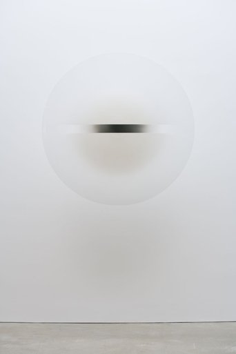 Robert Irwin : the beauty of questions Poster of Robert Irwin : the beauty of questions