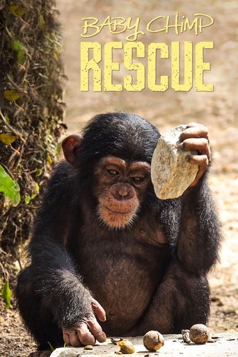 Baby Chimp Rescue Poster of Baby Chimp Rescue