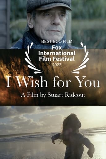 Poster of I Wish For You