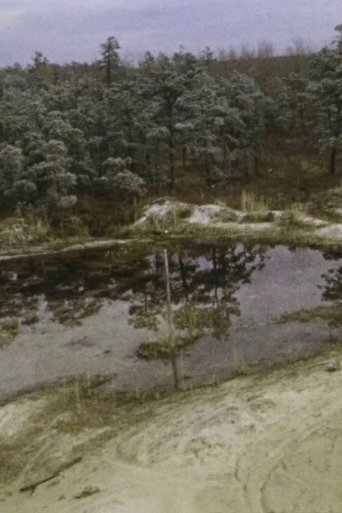 Pine Barrens Poster of Pine Barrens