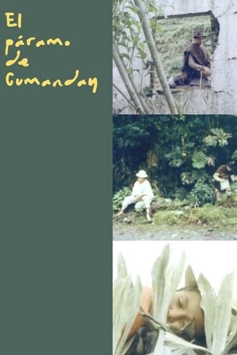 The Heights of Cumanday Poster of The Heights of Cumanday