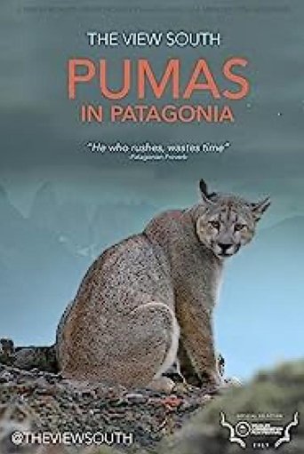Pumas in Patagonia Poster of Pumas in Patagonia