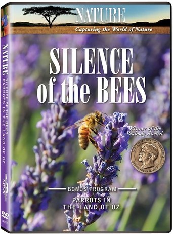 Silence of the Bees Poster of Silence of the Bees