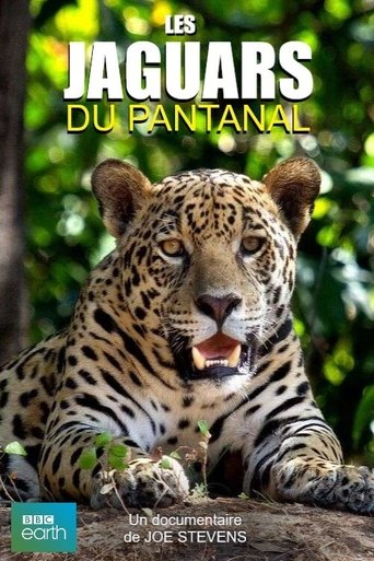 Jaguars of the Pantanal Poster of Jaguars of the Pantanal