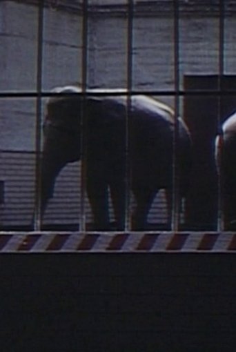 Elephants: Fragments in an Argument Poster of Elephants: Fragments in an Argument