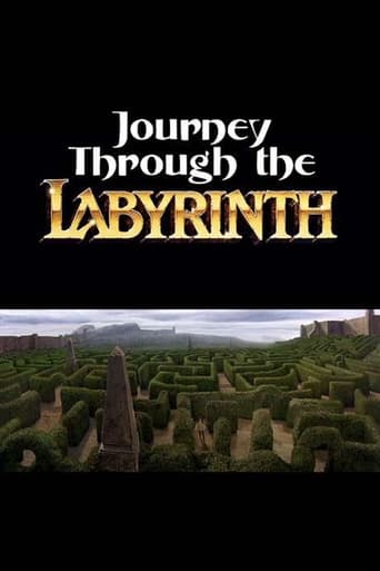 Poster of Journey Through the Labyrinth