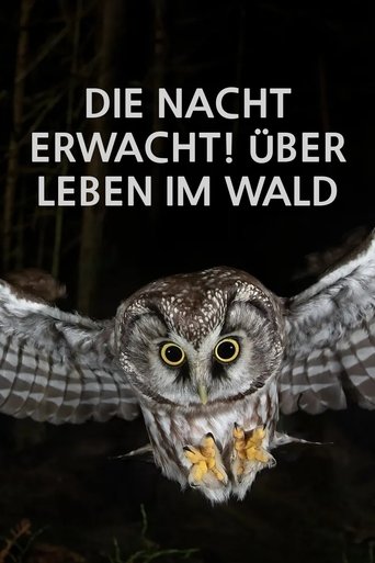 Die Nacht erwacht! Über Leben im Wald Poster of Die Nacht erwacht! Über Leben im Wald