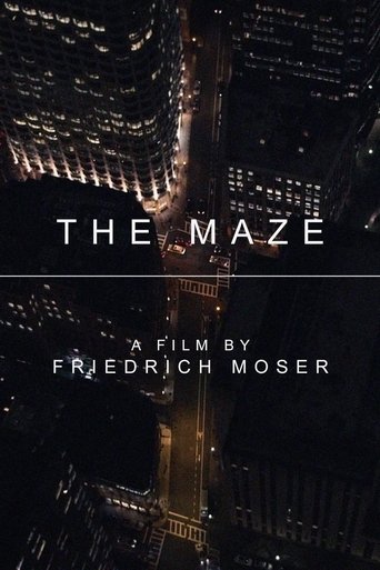 The Maze Poster of The Maze