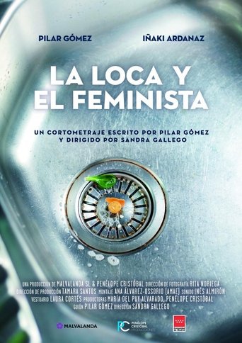 The madwoman and the feminist Poster of The madwoman and the feminist