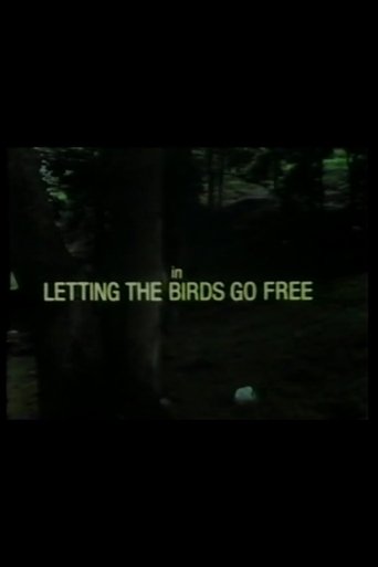 Letting the Birds Go Free Poster of Letting the Birds Go Free
