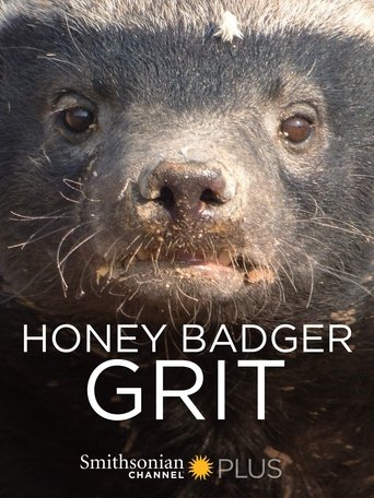 Honey Badger: Grit Poster of Honey Badger: Grit