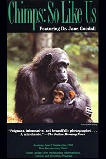 Chimps: So Like Us Poster of Chimps: So Like Us