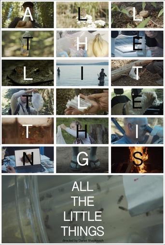 All the Little Things Poster of All the Little Things