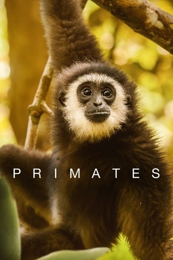 Primates Poster of Primates